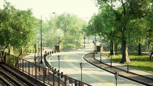 Empty Asphalt Road in City with Trees