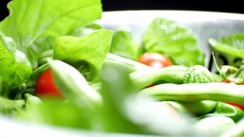 Shallow focus healthy fresh green spinach leaf cucamelon cherry tomato salad bowl closeup slow left