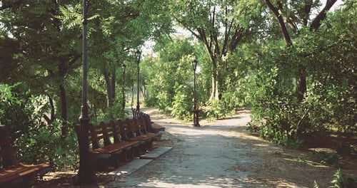 Serene Park Pathway Lined with Benches and Lampposts During Daytime