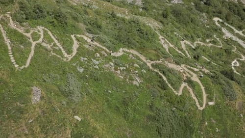 Top shot on a hiking trail il green mountain with some hikers and a dog. 50fps