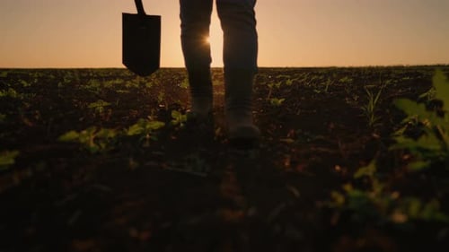 L'agro-industrie et la culture du sol : les jambes d'un agriculteur marchant sur le sol, gros plan, ouvrier agricole assidu