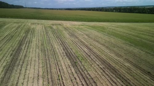 Wheat field aerial view in Ukraine