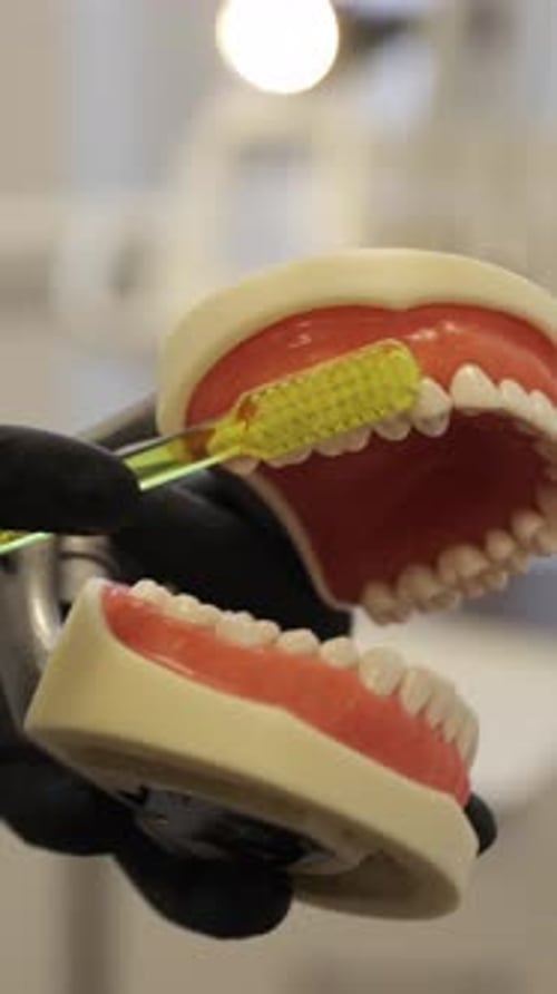 Dentist Demonstrating Correct Tooth Brushing Technique