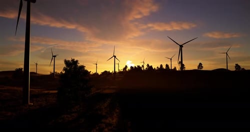 Wind Turbines In The Rising Sun