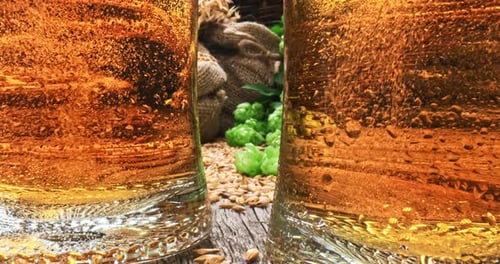 Cerveja gelada. Ingredientes frescos para cerveja. Malte e lúpulo.