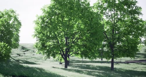 Lush Green Trees Sway Gently in a Serene Landscape During Daylight Hours