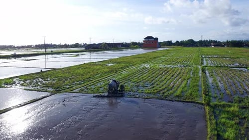 Landwirt, der mit Motorrädern auf dem Reisfeld in der Nähe der Autobahn arbeitet. - Flugaufnahme