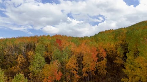 Colorful Autumn Forest and Mountain Landscape