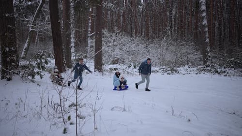 Sledding on a Snowy Winter Day