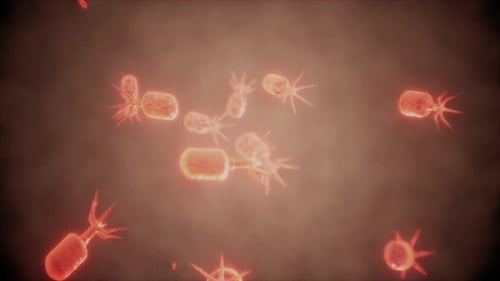 Células de virus o bacterias bajo el microscopio