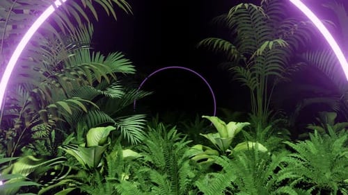 Follaje tropical con luz púrpura brillante