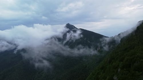 Misty Mountain Wood From Birdeye Aerial View