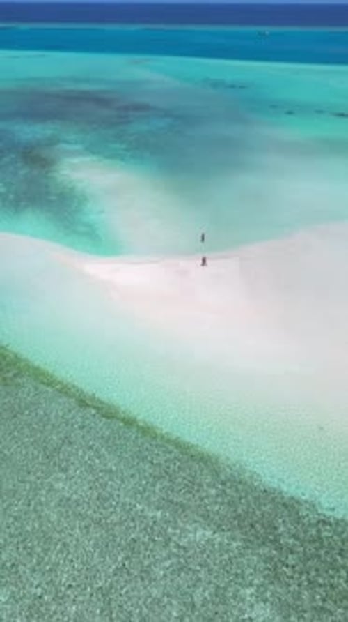 People Walking on Sandbar in the Sea Under Blue Sky at Sunny Day