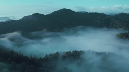 Aerial view of ASMR misty fog between magical mountains in the early morning.