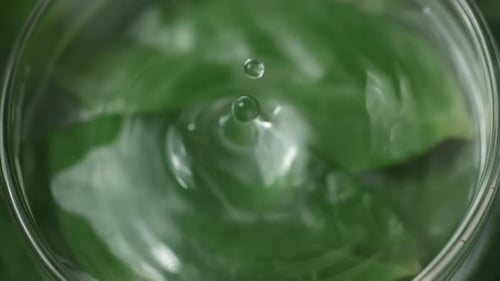 Water Droplet Falling into Glass with Green Leaves