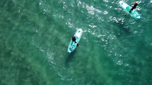 SUP surfers paddling along a Mediterranean coast
