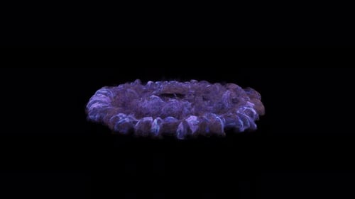 Abstract Energy Fluid Reveal Animation