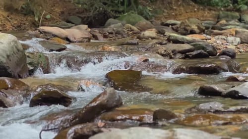 B-roll footage of a running river in nature. This footage pans down along the river and shows the wh
