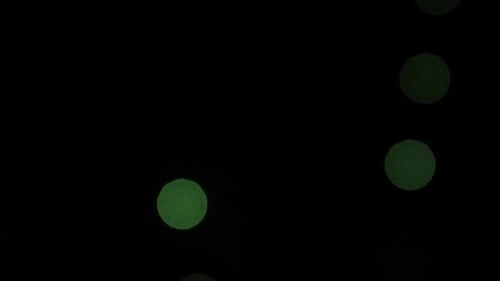 Fogos de artifício verdes explodem no céu em 4 de julho