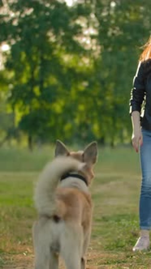 Woman Plays Fetch with Dog in Green Park