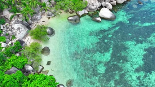 Beach and rocks with green plants, coconut trees and clear sea water.