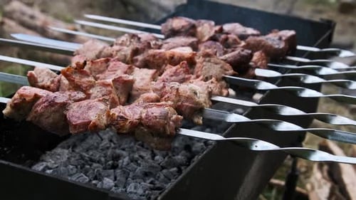 Skewers with Barbecued Meat Over Charcoal