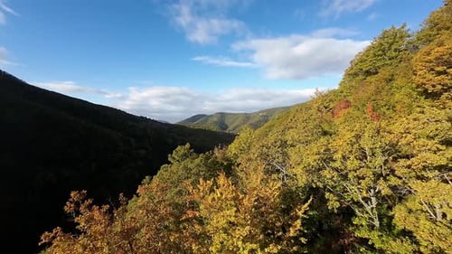 The Fpv Drone Flies Down Into the Mountain Over the Autumncolored Trees