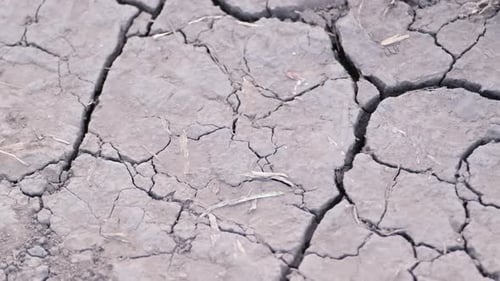 Cracked Earth Texture in Parched Land