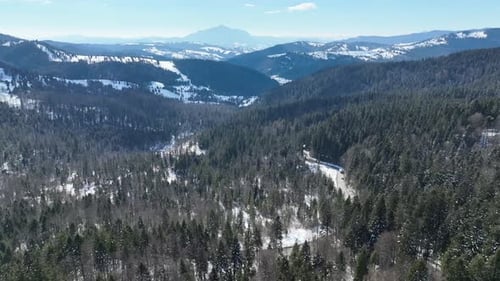 Snowy forest landscape in a mountainous region with distant peaks on a bright winter day