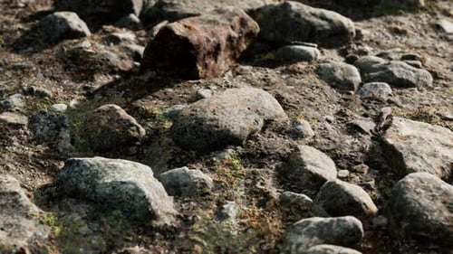 Gros plan de la formation de Rocky Stones