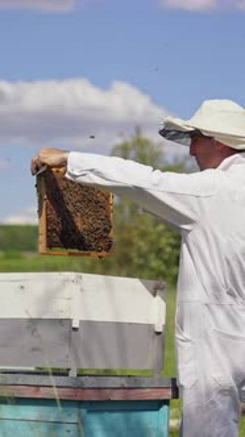 Beekeeper Inspecting Honeycomb Frame in Rural Setting