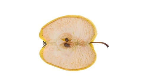 Zeitraffer von Dries Half Apple