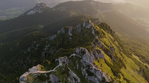 Top View of Mountain Peaks and Green Hills with Pine Trees in Soft Morning or Evening Sunlight
