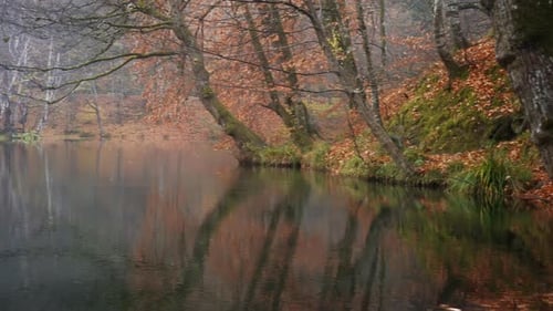 Autumn Lake