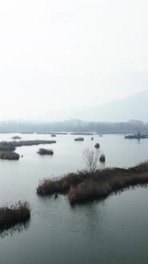 Végétation au milieu du lac à Tobiere Del Sebino