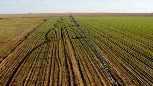 Irrigation System And Agricultural Field