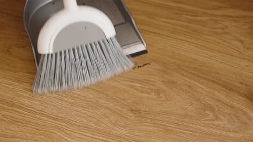 Hand Sweeping Up Debris with Broom and Dustpan