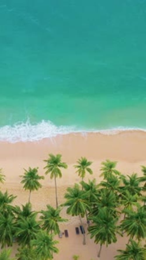 Aerial View Of Tropical Beach With Palm Trees And Turquoise Ocean