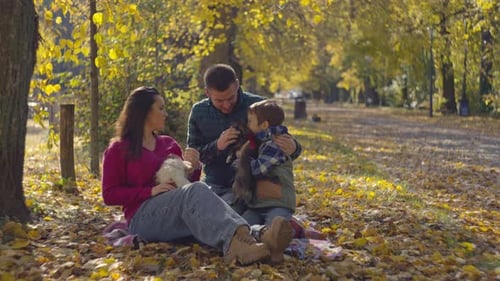 Happy Family in the Autumn Forest with Dogs on a Picnic