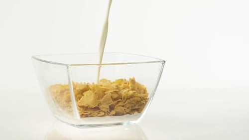 Milk pouring into transparent bowl with yellow cereal cornflakes on a white background. Clean eating