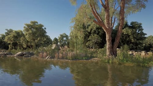 Peaceful Riverbank with Lush Trees and Reflecting Water