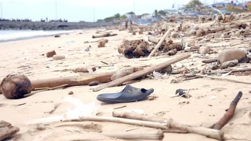 Pollution of Beach Nature and Environmental Ecology By Plastic Garbage and Trash