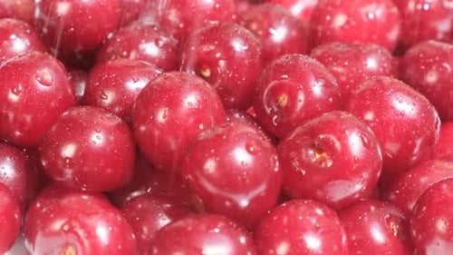 Fresh Red Cherries Being Washed with Water