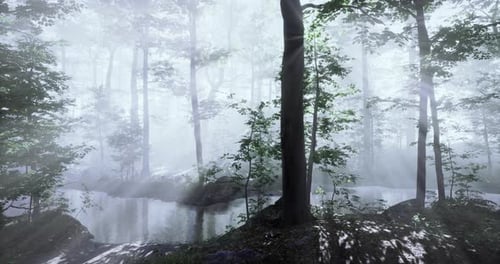 Misty Forest Scene with Sun Rays and Flowing River
