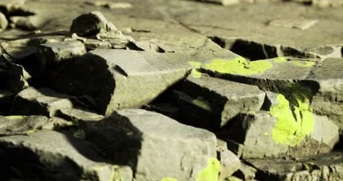 Textures of Rocky Surface with Bright Green Lichen Under Natural Light