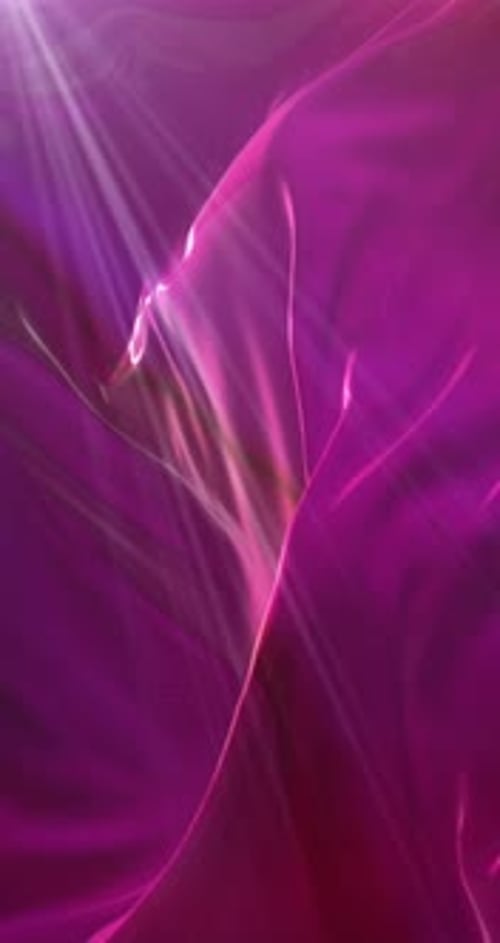 Abstract Fluid Pink and Purple Light Rays Motion Background