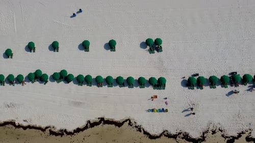 Aerial view of people relaxing on beach. Tropical landscape with families at green sea. Tanning wome