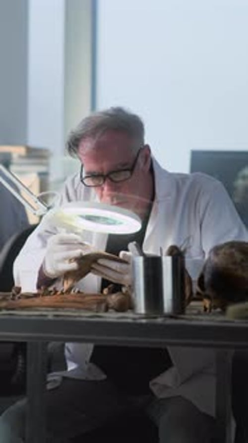 Scientist Examining Bones with a Magnifying Glass