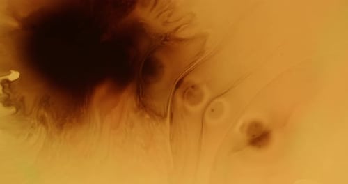 Ink Blob Wet Splatter Grunge Dripping Messy Flow