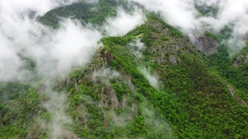 Beautiful Magical Clouds in Mountain Forest